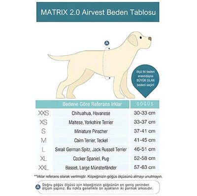 Max Molly Matrix 2.0 Air Vest Köpek Göğüs Tasması - Jade (XLarge)