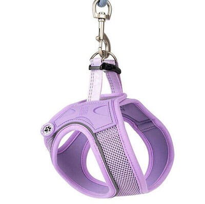 Max Molly Matrix 2.0 Air Vest Köpek Göğüs Tasması - Lila (Large)