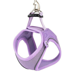 Max Molly Matrix 2.0 Air Vest Köpek Göğüs Tasması - Lila (Medium) - Thumbnail