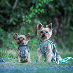 Max Molly Matrix 2.0 Air Vest Köpek Göğüs Tasması - Mavi (Large) - 3