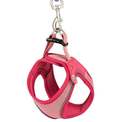 Max Molly Matrix 2.0 Air Vest Köpek Göğüs Tasması - Rose (XLarge)
