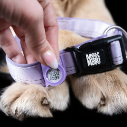 Max Molly Matrix 2.0 Akıllı Künyeli Köpek Boyun Tasması - Lila (S) - 5
