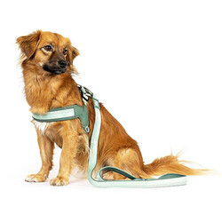 Max Molly Matrix 2.0 Akıllı Künyeli Q-Fit Köpek Göğüs Tasması - Jade (Large) - Thumbnail