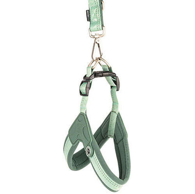 Max Molly Matrix 2.0 Akıllı Künyeli Q-Fit Köpek Göğüs Tasması - Jade (Medium)