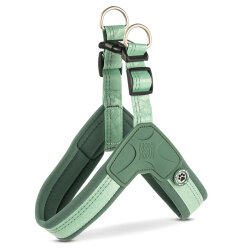 Max Molly Matrix 2.0 Akıllı Künyeli Q-Fit Köpek Göğüs Tasması - Jade (XS) - Max&Molly