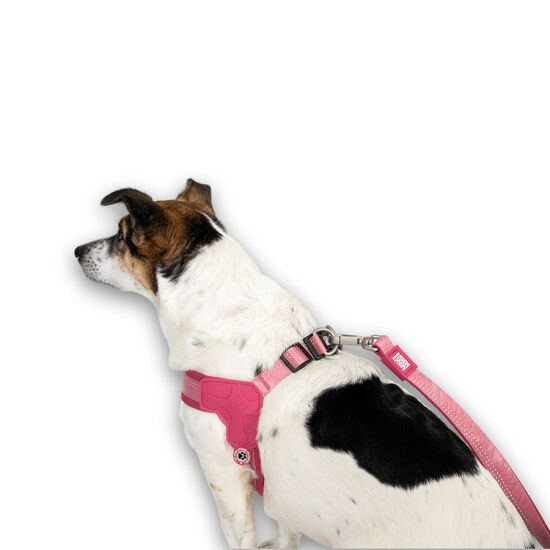 Max Molly Matrix 2.0 Akıllı Künyeli Q-Fit Köpek Göğüs Tasması - Rose (Large) - 6