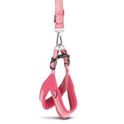 Max Molly Matrix 2.0 Akıllı Künyeli Q-Fit Köpek Göğüs Tasması - Rose (Medium) - Thumbnail