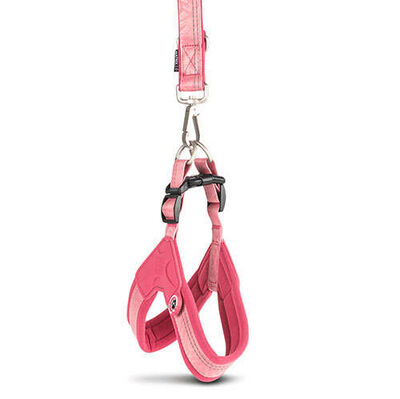 Max Molly Matrix 2.0 Akıllı Künyeli Q-Fit Köpek Göğüs Tasması - Rose (XL)