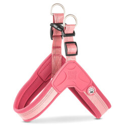 Max Molly Matrix 2.0 Akıllı Künyeli Q-Fit Köpek Göğüs Tasması - Rose (XL) - Max&Molly