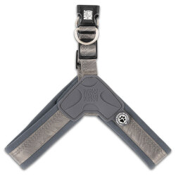 Max Molly Matrix 2.0 Akıllı Künyeli Q-Fit Köpek Göğüs Tasması - Stone (XS) - 2