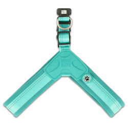 Max Molly Matrix 2.0 Akıllı Künyeli Q-Fit Köpek Göğüs Tasması - Turkuaz (M) - 2