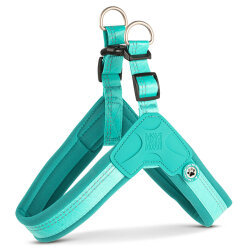 Max Molly Matrix 2.0 Akıllı Künyeli Q-Fit Köpek Göğüs Tasması - Turkuaz (XXSmall) - Max&Molly