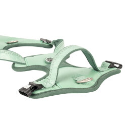 Max Molly Matrix 2.0 Akıllı Künyeli Sport Köpek Göğüs Tasması - Jade (Large) - 4