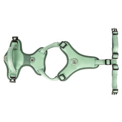Max Molly Matrix 2.0 Akıllı Künyeli Sport Köpek Göğüs Tasması - Jade (Medium) - 5