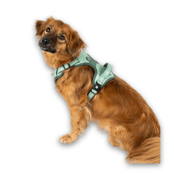 Max Molly Matrix 2.0 Akıllı Künyeli Sport Köpek Göğüs Tasması - Jade (Small) - 7