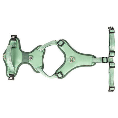 Max Molly Matrix 2.0 Akıllı Künyeli Sport Köpek Göğüs Tasması - Jade (Small)