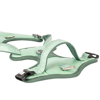 Max Molly Matrix 2.0 Akıllı Künyeli Sport Köpek Göğüs Tasması - Jade (Small)