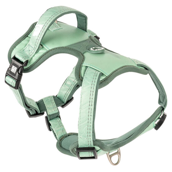 Max Molly Matrix 2.0 Akıllı Künyeli Sport Köpek Göğüs Tasması - Jade (XL) - 1