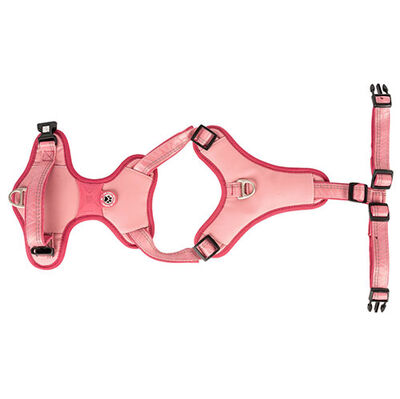 Max Molly Matrix 2.0 Akıllı Künyeli Sport Köpek Göğüs Tasması - Rose (Medium)