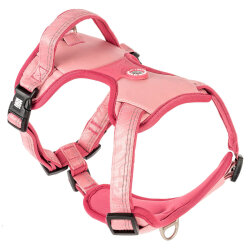 Max Molly Matrix 2.0 Akıllı Künyeli Sport Köpek Göğüs Tasması - Rose (Large) - Max&Molly