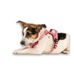 Max Molly Matrix 2.0 Akıllı Künyeli Sport Köpek Göğüs Tasması - Rose (Large) - 7