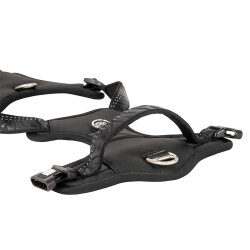 Max Molly Matrix 2.0 Akıllı Künyeli Sport Köpek Göğüs Tasması - Siyah (Large) - 4