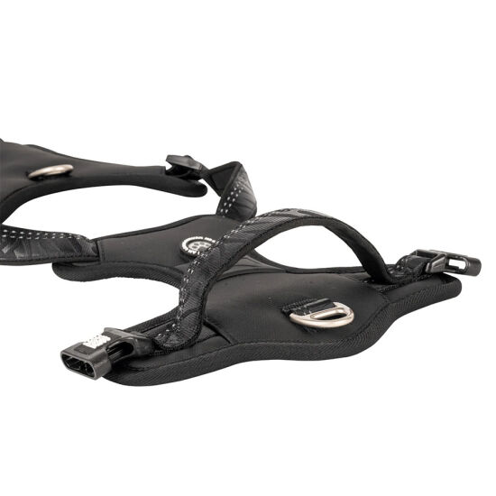 Max Molly Matrix 2.0 Akıllı Künyeli Sport Köpek Göğüs Tasması - Siyah (Large) - 4