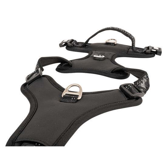 Max Molly Matrix 2.0 Akıllı Künyeli Sport Köpek Göğüs Tasması - Siyah (Medium) - 3