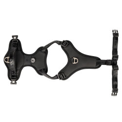 Max Molly Matrix 2.0 Akıllı Künyeli Sport Köpek Göğüs Tasması - Siyah (Medium) - 5