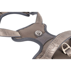 Max Molly Matrix 2.0 Akıllı Künyeli Sport Köpek Göğüs Tasması - Stone (Small) - 2