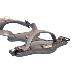 Max Molly Matrix 2.0 Akıllı Künyeli Sport Köpek Göğüs Tasması - Stone (Small) - 4