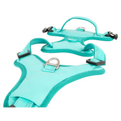 Max Molly Matrix 2.0 Akıllı Künyeli Sport Köpek Göğüs Tasması - Turkuaz (XL) - 3