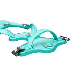 Max Molly Matrix 2.0 Akıllı Künyeli Sport Köpek Göğüs Tasması - Turkuaz (XL) - 4