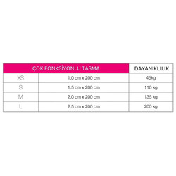 Max Molly Matrix 2.0 Çok Fonksiyonlu Köpek Gezdirme Kayışı - Jade (Small) - Thumbnail