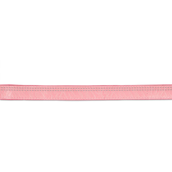 Max Molly Matrix 2.0 Köpek Gezdirme Kayışı - Rose (S) - 4