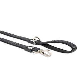 Max Molly Matrix 2.0 Köpek Gezdirme Kayışı - Siyah (Small) - Thumbnail