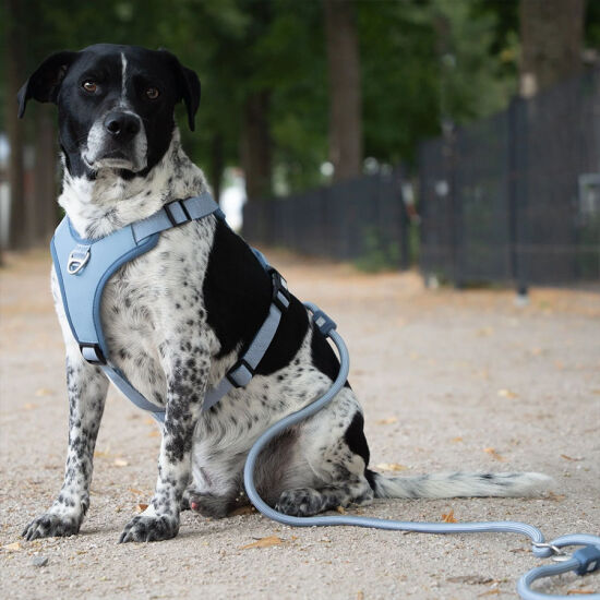 Max Molly Matrix 2.0 Rope Leash Çok Fonksiyonlu Köpek Gezdirme Kayışı - Mavi (Medium) - 3