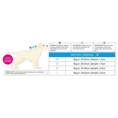 Max Molly Matrix Blue Smart ID Köpek Boyun Tasması (Large)