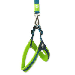 Max Molly Matrix Green Q-Fit Köpek Göğüs Tasması (Large) - 3