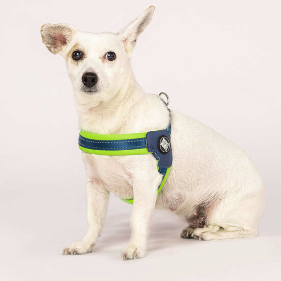 Max Molly Matrix Green Q-Fit Köpek Göğüs Tasması (Medium) - 4