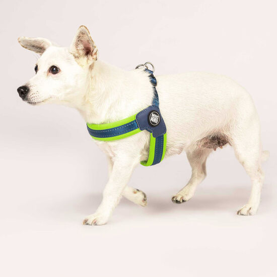 Max Molly Matrix Green Q-Fit Köpek Göğüs Tasması (Medium) - 5