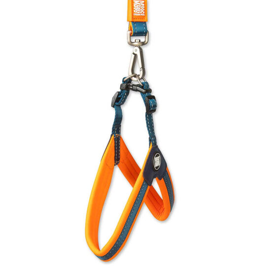 Max Molly Matrix Orange Q-Fit Köpek Göğüs Tasması (XXSmall) - 3