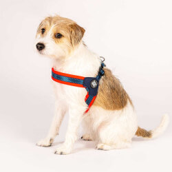 Max Molly Matrix Red Q-Fit Köpek Göğüs Tasması (XLarge) - 5