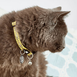 Max Molly Monkey Maniac Smart ID Kedi Boyun Tasması - 4