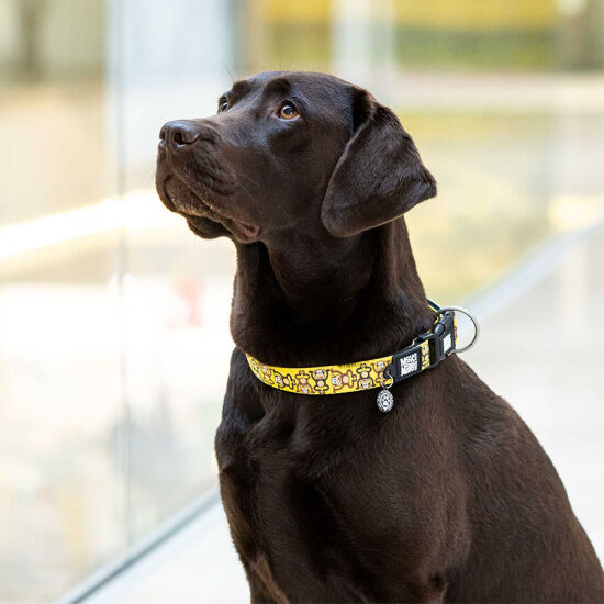 Max Molly Monkey Maniac Smart ID Köpek Boyun Tasması Medium - 6