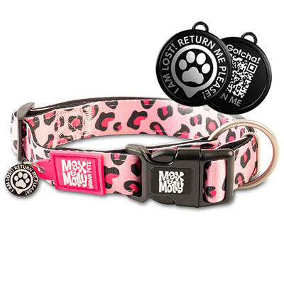 Max Molly Smart ID Leopard Pink Köpek Boyun Tasması (Medium)