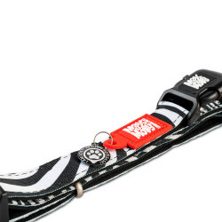 Max Molly Zebra Smart ID Köpek Boyun Tasması (Small) - 2