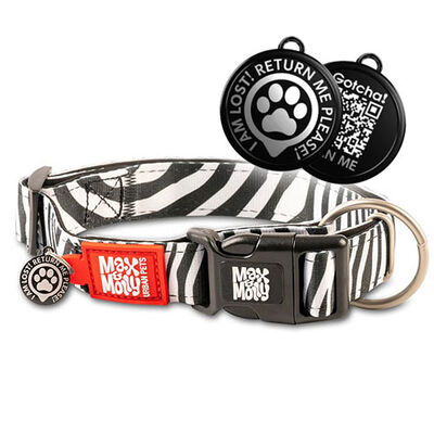 Max Molly Smart ID Zebra Köpek Boyun Tasması (XSmall)