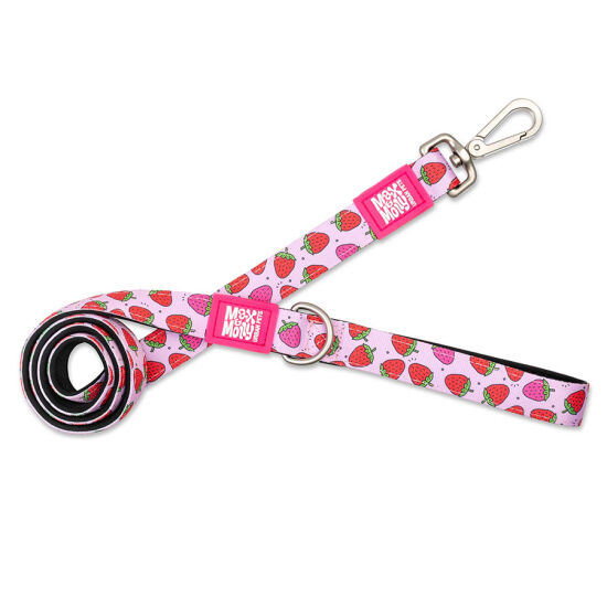 Max Molly Strawberry Dream Desenli Köpek Gezdirme Kayışı (Small) - 1