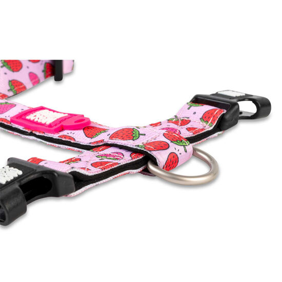 Max Molly Strawberry Dream Desenli Köpek Göğüs Tasması (Large) - 3